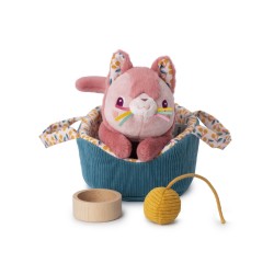 Jeanne le chat dans son panier